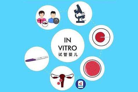 帮别人借卵试管代怀【借卵试管代怀：助人为乐，生命的奇迹】