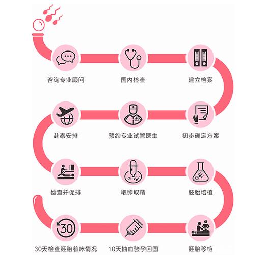借卵试管代怀指南_借卵试管代怀全面指南