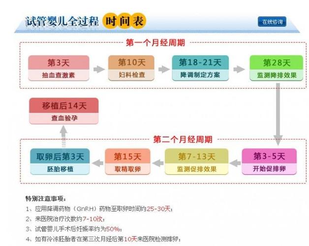 借卵做试管婴儿费用_试管婴儿费用：借卵手术的花费详解