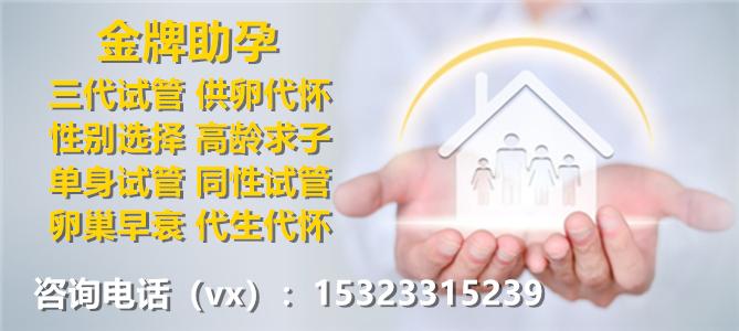 国内哪有借卵生子医院_国内借卵生子医院查询指南