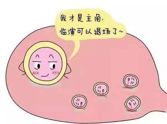 借卵试管代怀费用多少-借卵试管代怀费用如何确定