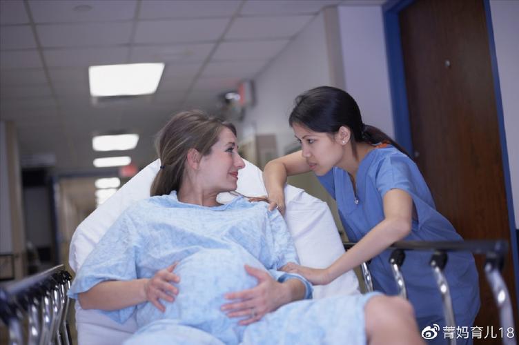 医院借卵代生子(医院借卵代生子：伦理、法律与医学的交汇)