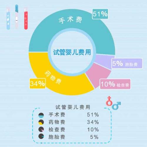 国内借卵试管代怀怎么收费【国内借卵试管代怀收费解析】