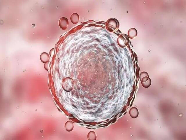 借卵试管代怀哪家医院好-借卵试管代怀哪家医院好？选择最佳医疗机构的关键因素