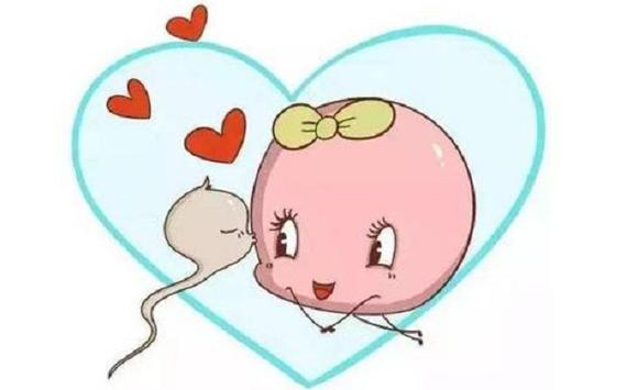 借卵试管代怀男孩全包【借卵试管代怀男孩全包服务】