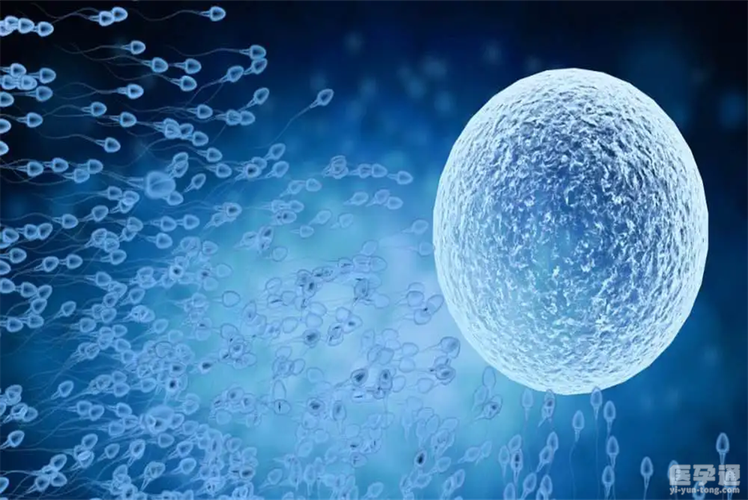 医院借卵试管代怀的全包费用【医院借卵试管代怀全包费用攻略】