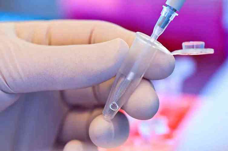 在国内做供卵试管婴儿需要符合哪些条件_国内供卵试管婴儿条件要求