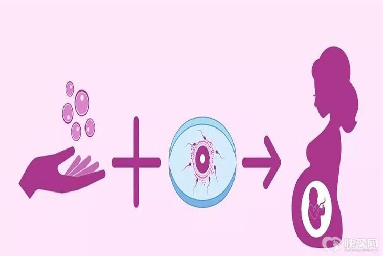 国内借卵试管代怀经历(国内借卵试管代怀之路)