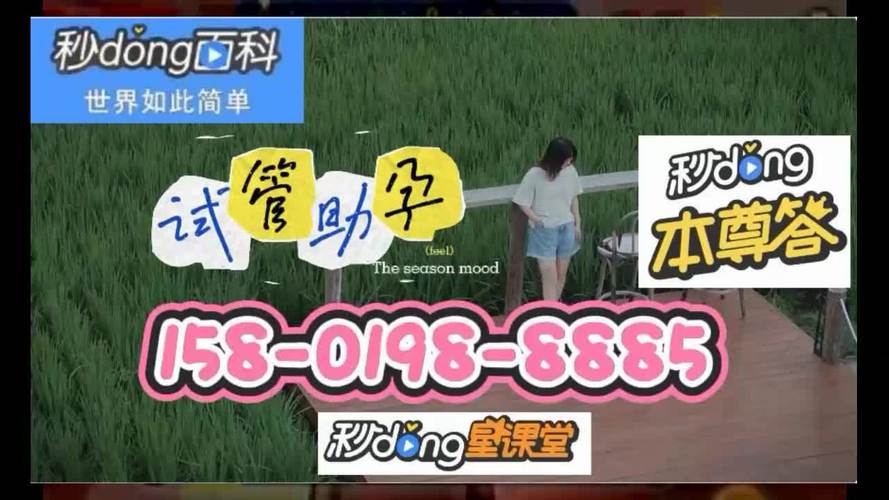 借卵试管代怀微信-微信借卵试管代怀，助您实现梦想