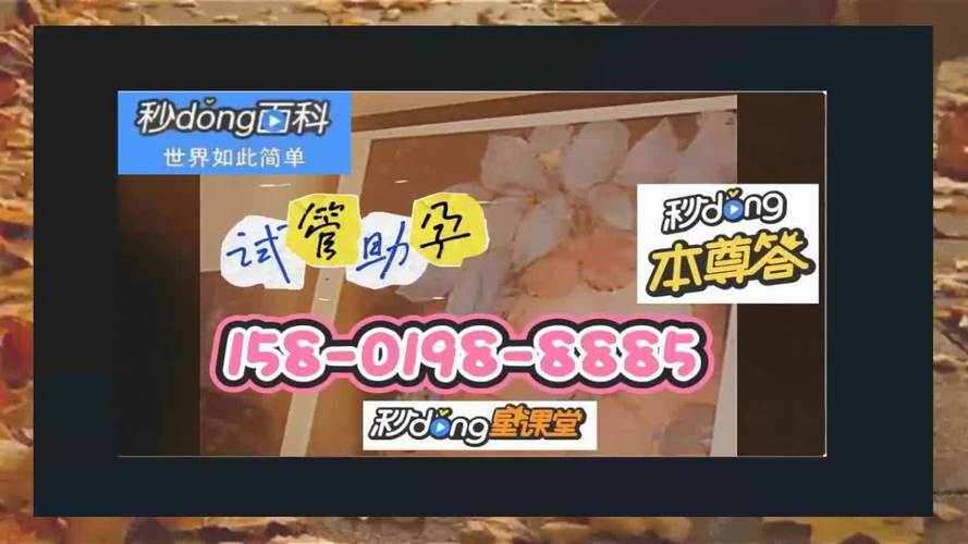 国内供卵全包试管代怀_国内供卵全包试管代怀新选择