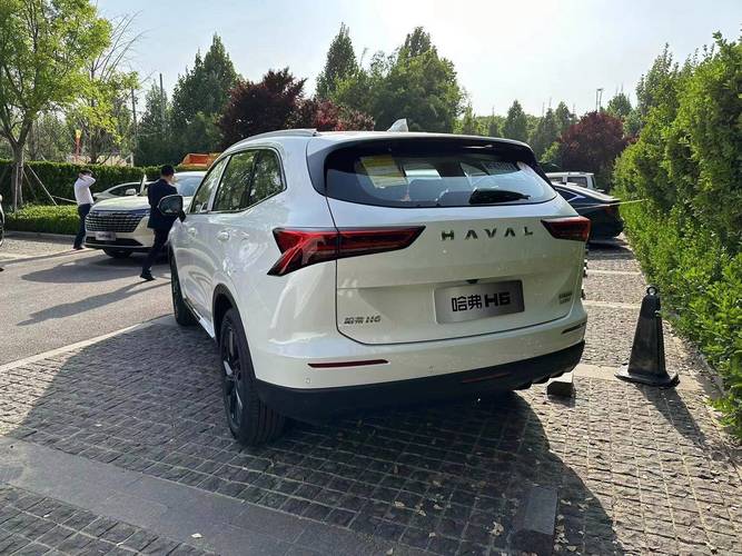 做借卵试管代怀男孩过程_借卵试管代怀男孩的全过程