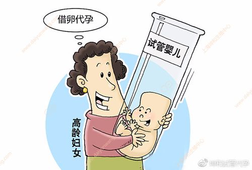 六十几岁妇女能借卵生小孩吗-六十几岁妇女能否借卵生小孩？