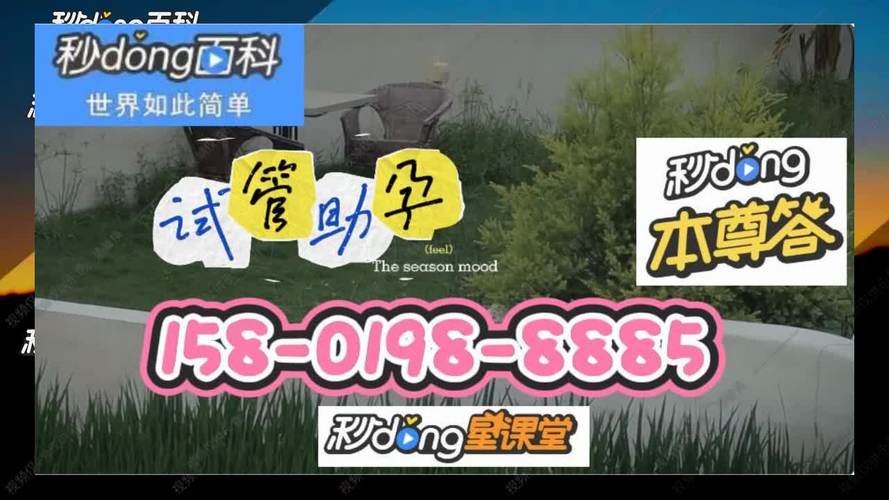 医院借卵试管代怀微信交流群(医院借卵试管代怀微信交流群：经验分享与交流)