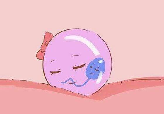 可以借卵子库的卵子生育么_卵子生育么：借卵子库助您实现生育梦