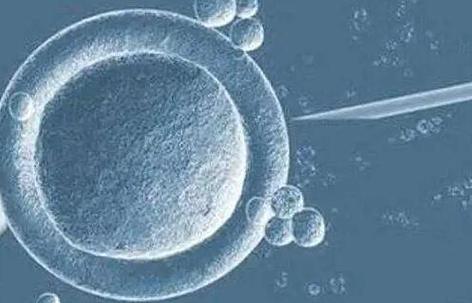 借卵试管代怀排名【借卵试管代怀排名新趋势】