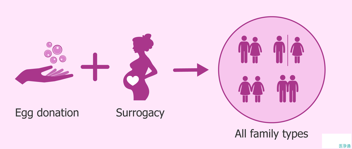 借卵生子有孕妈的遗传基因_遗传基因：借卵生子有孕妈”