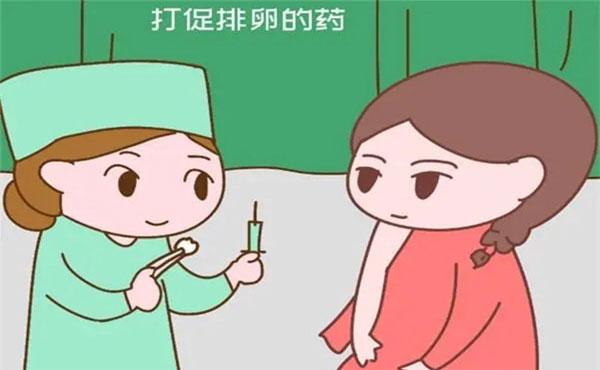 找借卵试管代怀_借卵试管代怀：帮助您实现生育梦想