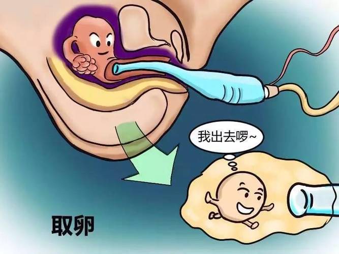 国内供卵试管代怀包成功_国内供卵试管代怀包成功专家分享经验