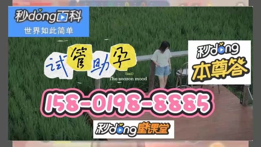 借卵试管代怀协会_借卵试管代怀协会：助力生育梦想的支持与服务